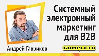 Системный электронный маркетинг в сегменте B2B От стратегии до инструментов [upl. by Starling]