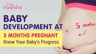 5 Month Pregnant  Know the Baby Development [upl. by Acsirp]