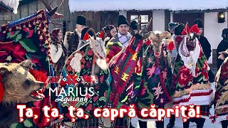 Marius Zgâianu Ța ța ța capră căpriță [upl. by Dilly]