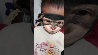 money monkeyshortsvideo shortsvideo comedy funny kidsvideo cute baby cat [upl. by Sussi]