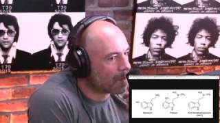 Joe Rogan  Mushrooms vs DMT [upl. by Edwyna]