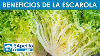 8 Propiedades y Beneficios de la Escarola ✅  QueApetito [upl. by Ardenia570]