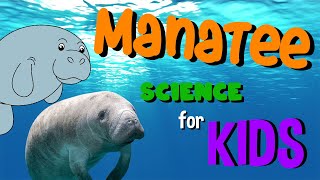 Manatee  Science for Kids [upl. by Elman]