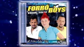 Forró Boys Vol 04  19 Na Madrugada  Late Night [upl. by Stoffel426]