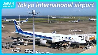 【Live】Tokyo International Airport Haneda Plane Spotting NipponTV News24 IATA HND ICAO RJTT [upl. by Natan]