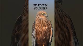 BELIEVE IN YOURSELF 🔥🔥 Motivational Status  motivation success shorts quotes [upl. by Kerek]