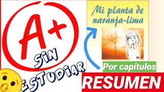 Mi planta de Naranja Lima  Aprueba Sin Estudiar  Te lo Resumo al Toque  Vasconcelos [upl. by Abdel104]