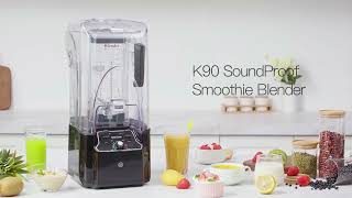 Best WantJoin Professional Commercial Blender Review [upl. by Hannavahs]