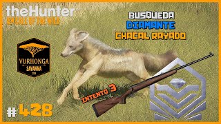 🦌theHunter CotW 428  EN BUSCA DEL DIAMANTE DE CHACAL RAYADO  INTENTO 3  Español [upl. by Idzik]