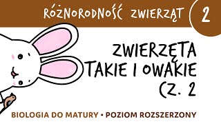 Różnorodność zwierząt 2  Zwierzęta takie i owakie cz2  matura z biologii rozszerzona [upl. by Franckot]