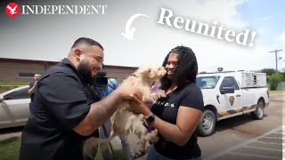 Missing dog found 350 miles away from home reunited with owner [upl. by Roderigo]