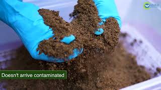 PeatMoss for Plants Best Potting Mixture and Soil Amendment [upl. by Lebasiairam]