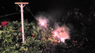 Tree Branch versus 11000 Volts [upl. by Einomrah368]