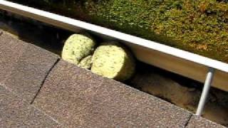 Gutter Cleaning Tricks and Secrets Tips Safe and Easy Los Angeles Raingutter Cleaning [upl. by Ahsal]