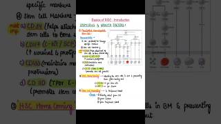 ➡️Stem Cell➡️Growth Factors ➡️ Erythroid Series bhfyp mbbs anatomy Microbiology ytshort yt [upl. by Ajad842]