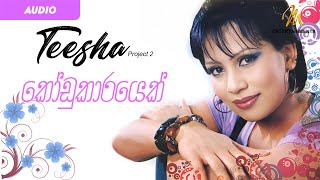 Kodukarayek  Teesha  Official Audio  320 kbps  Teesha Project 2 Album [upl. by Moreen96]