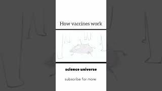 How vaccine works  funnyshorts biology 1million viralshorts [upl. by Eberta]