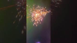 Happy diwali 🎇 funny diwalispecial diwali2024 [upl. by Benilda]