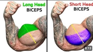 Full Biceps Curls  short Head  Long Head  Brachialis [upl. by Mahon]