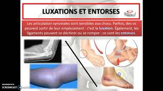 Cours 36  Les articulations [upl. by Anitsirt]