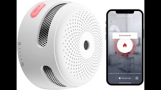 XSense Wifi Smoke Detector [upl. by Tik]