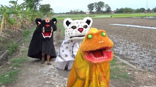 Memanggil Barongan mata satu barongan kodok diajak jalanjalan barongan tutul [upl. by France419]