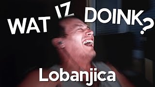 WAT IZ DOINK Lobanjica [upl. by Yro]