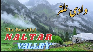 The beautiful Natlar Valley  Ep 09  Stuck in Naltar due to rain and landslide [upl. by Ardnaet]