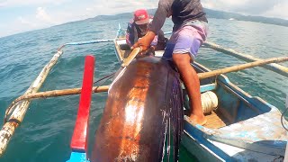 Traditional Hook Fishing  Giant Malasugi  Jackpot Big Sailfish  Philippines Primitive Fishing [upl. by Hanavas]