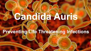 Preventing the Spread of Candida Auris  A Fungus that Can Cause Deadly Infections in Hospitals [upl. by Joh]