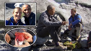 Shocking Former US President Obama Taken into the Wilderness for Survival by Top Predator Bear [upl. by Hayn]