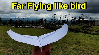 HOW TO MAKE THE FARTHEST FLYING PAPER AIRPLANE  Best Paper airplane BIRD [upl. by Ogilvy]