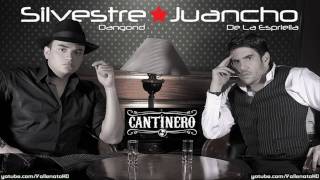 Silvestre Dangond  Sobredosis de Chamame Cantinero  Vallenato 2010 [upl. by Yarod70]