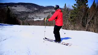 Telemark lessons  intro to moguls [upl. by Godber]