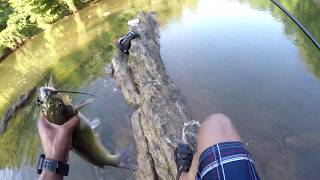 Smallmouth Bass Fishing on the Rapidan River  What are they biting [upl. by Animehliw]