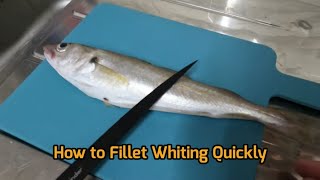 Sea Fishing UK  How to Prepare Whiting For cooking  Filleting Fish [upl. by Nivrag]