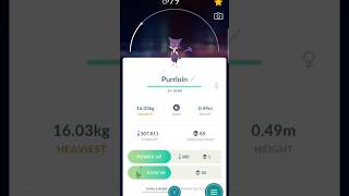 Evolving Purrloin pokemongo pokemon [upl. by Assiral]