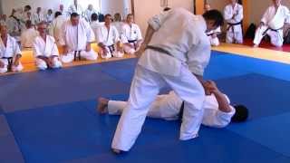 Kote Hineri Techniques 4  Sakai Sensei amp Findlay Sensei [upl. by Daniels]