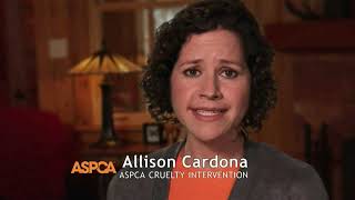 ASPCA TV Spot This Winter Featuring Allison Cardona Commercial 2014 [upl. by Larret]