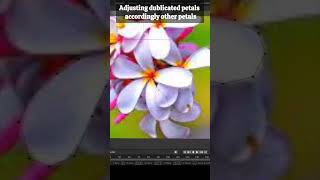 Create Stunning Flower Petals in Blender A Quick and Easy Tutorial [upl. by Ibot113]