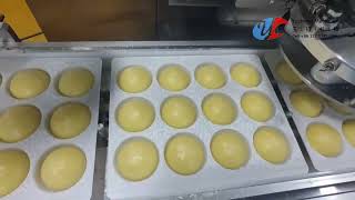 Mochi Ice Cream Machine from China Shanghai Yucheng Machinery [upl. by Eckblad949]