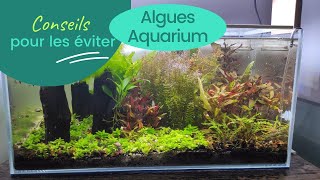 9 conseils pour éviter ou limiter les algues en aquariophilie [upl. by Shirl]