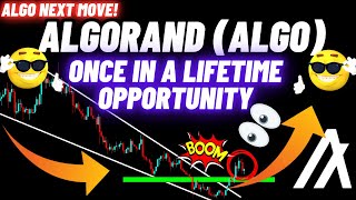 This Is Once in a Lifetime Opportunity By Algorand ALGO Crypto Coin [upl. by Sansen]