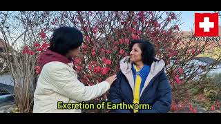 Excretion of Earthworm 09112024 [upl. by Donella]