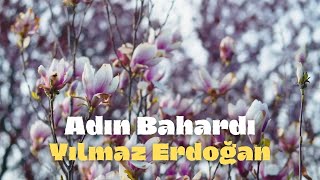 Yılmaz Erdoğan Adın Bahardı [upl. by Fabriane]