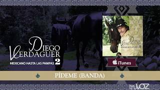 Diego Verdaguer  Pídeme Audio Oficial [upl. by Runkle]