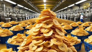 Mass Production of Banana Chips  Banana Chips Factory [upl. by Anirdnaxela]