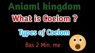 Animal kingdom Coelom NEET AIIMS [upl. by Anyrtak]