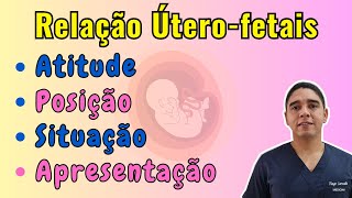 Relação Úterofetais ESTÁTICA FETAL [upl. by Jabez576]