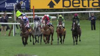 2 Miles 13 Fences 1 Winner A Tingle Creek Chase short [upl. by Imojean]